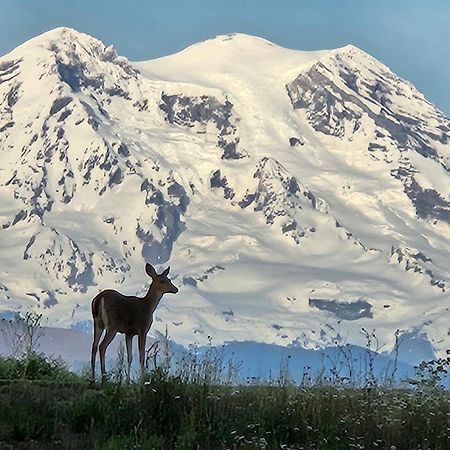 Stunning Mt Rainier Views!Tahoma Ridge Cottage Eatonville Exterior photo