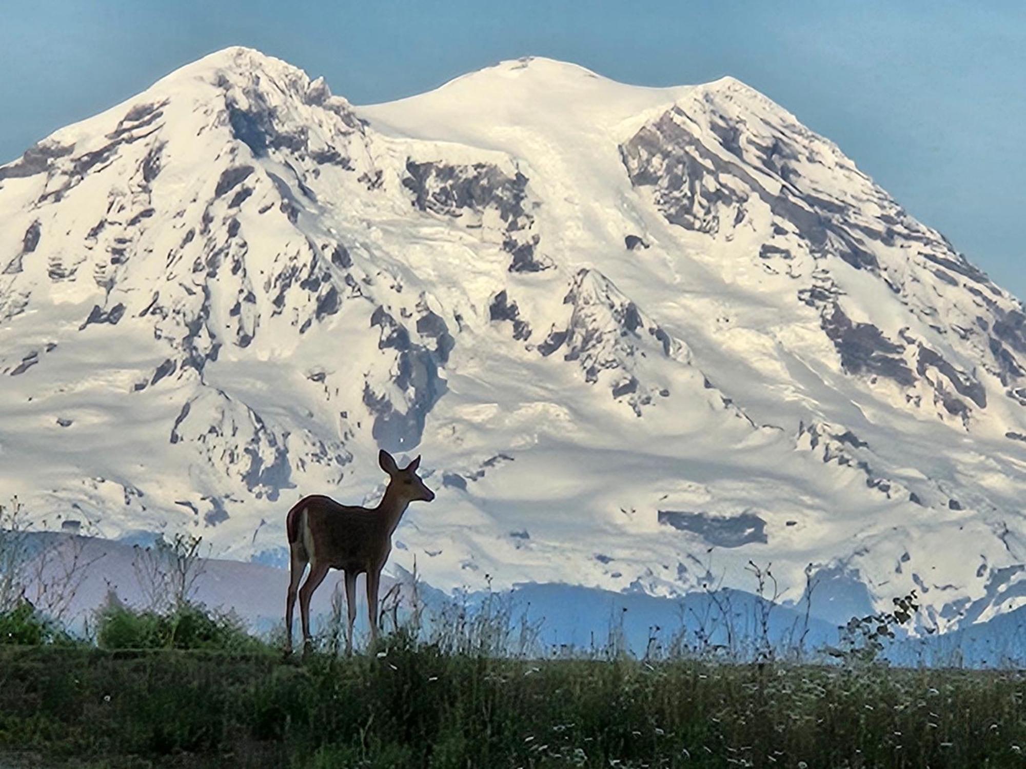 Stunning Mt Rainier Views!Tahoma Ridge Cottage Eatonville Exterior photo