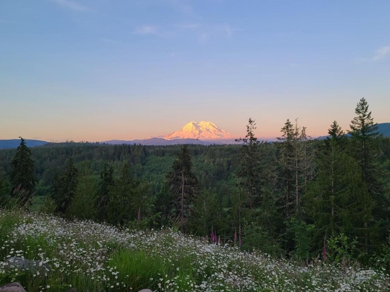 Stunning Mt Rainier Views!Tahoma Ridge Cottage Eatonville Exterior photo