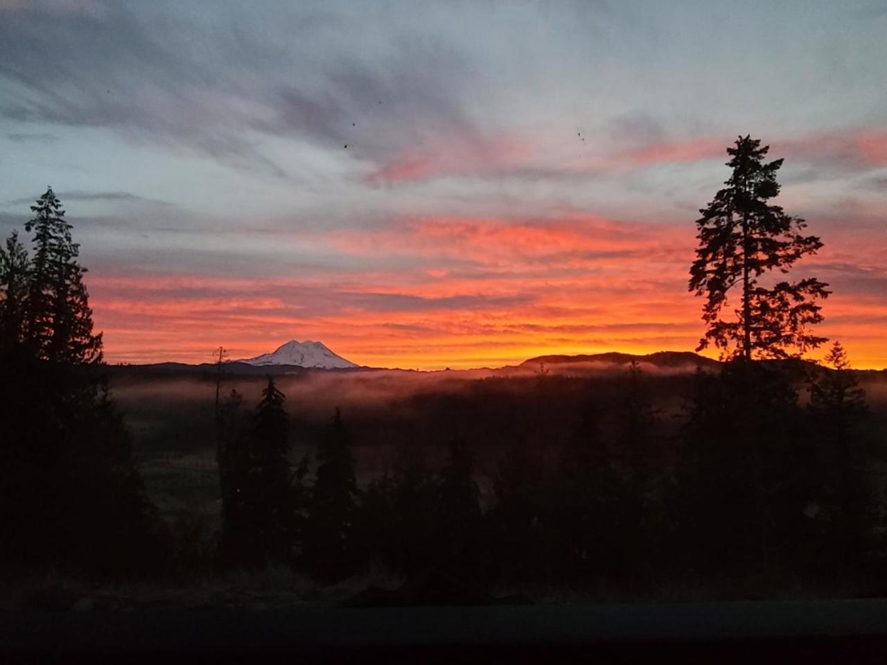 Stunning Mt Rainier Views!Tahoma Ridge Cottage Eatonville Exterior photo